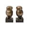 Hello Honey® 9" Bronze Finish Resin Owl-Shaped Bookends Set